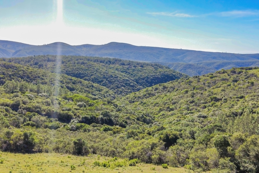 5 Bedroom Property for Sale in Elandsrivier Eastern Cape